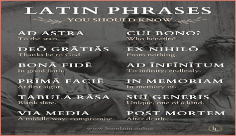 A Profile Of A Latin Beauty